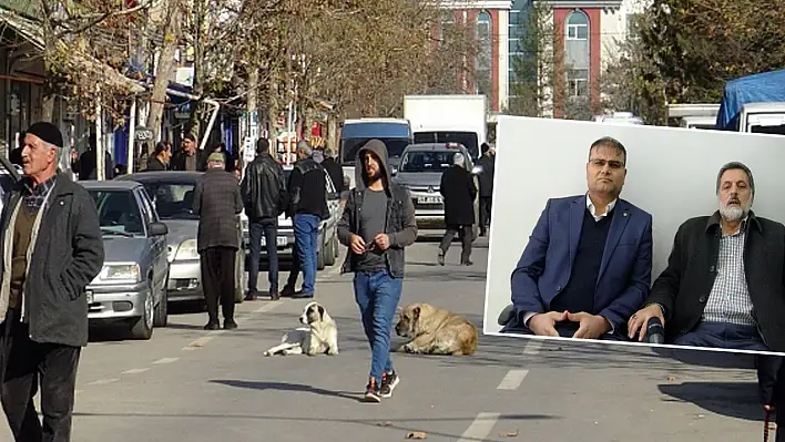 HÜDA PAR İlçe Başkanları ve Vatandaşlar Sokak Köpekleri İçin Yetkililere Seslendi
