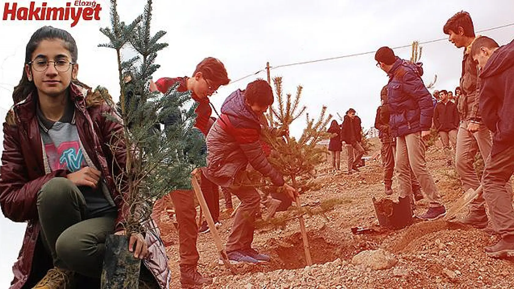 Elazığ'da 'Ağacımla büyüyorum, kendi seramda üretiyorum' projesi