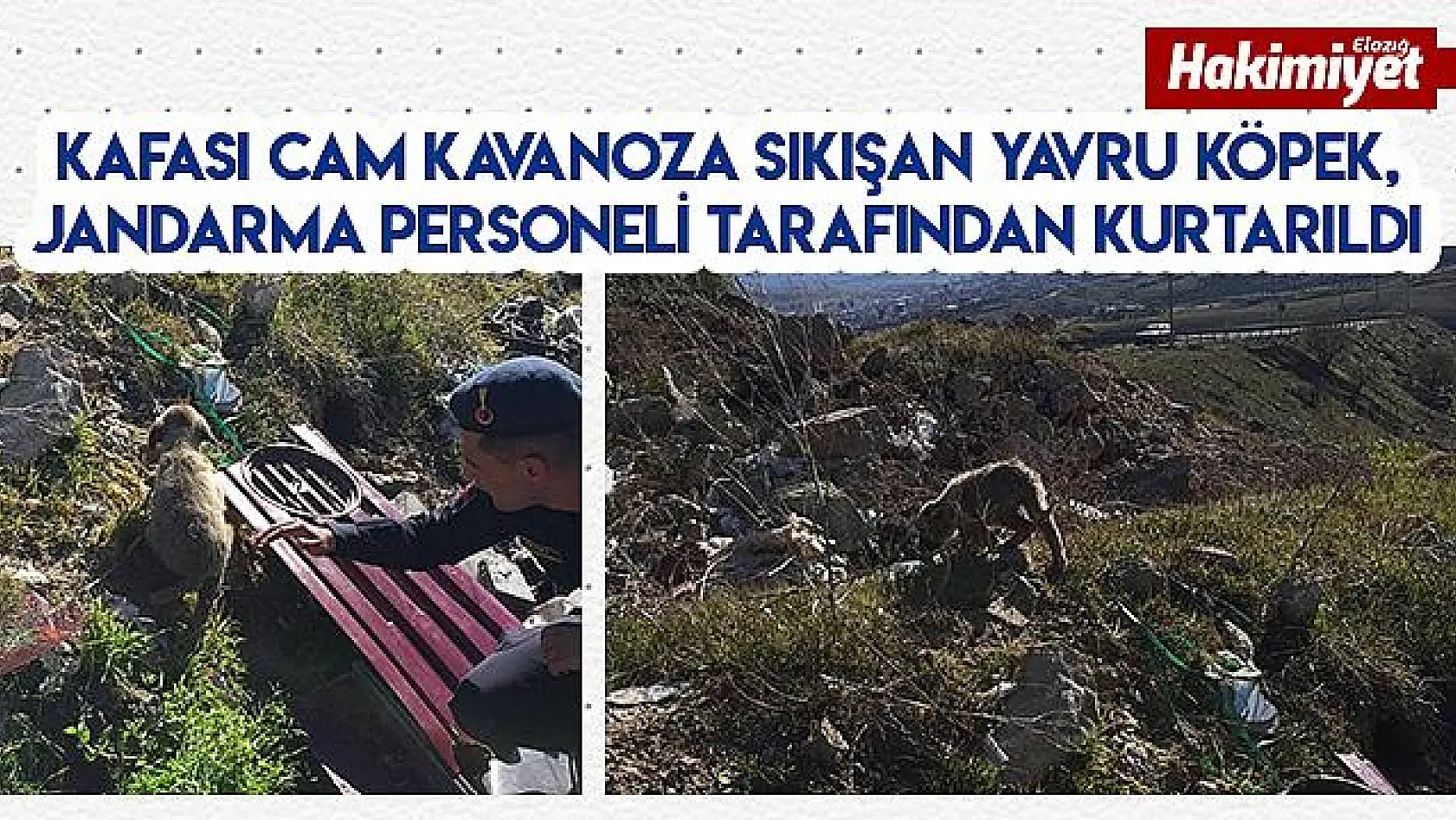 Kafası kavanoza sıkışan yavru köpeği Mehmetçik kurtardı  
