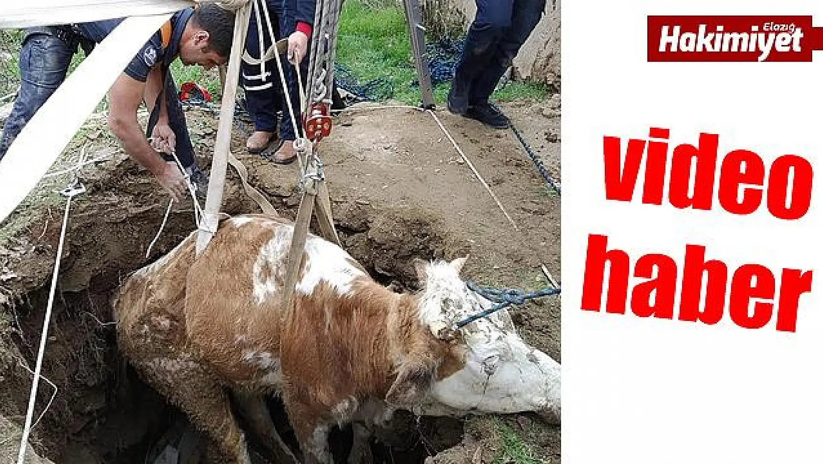Kuyuya düşen inek, itfaiye ekipleri tarafından kurtarıldı