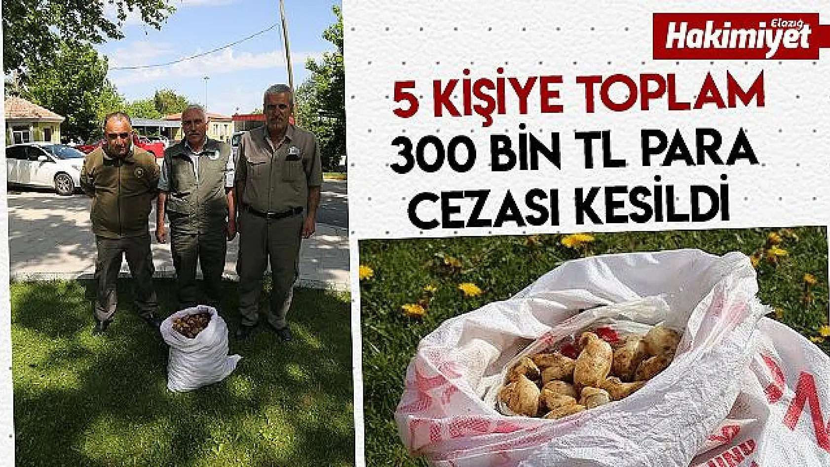  25 kilo salep soğanına 300 bin TL ceza kesildi