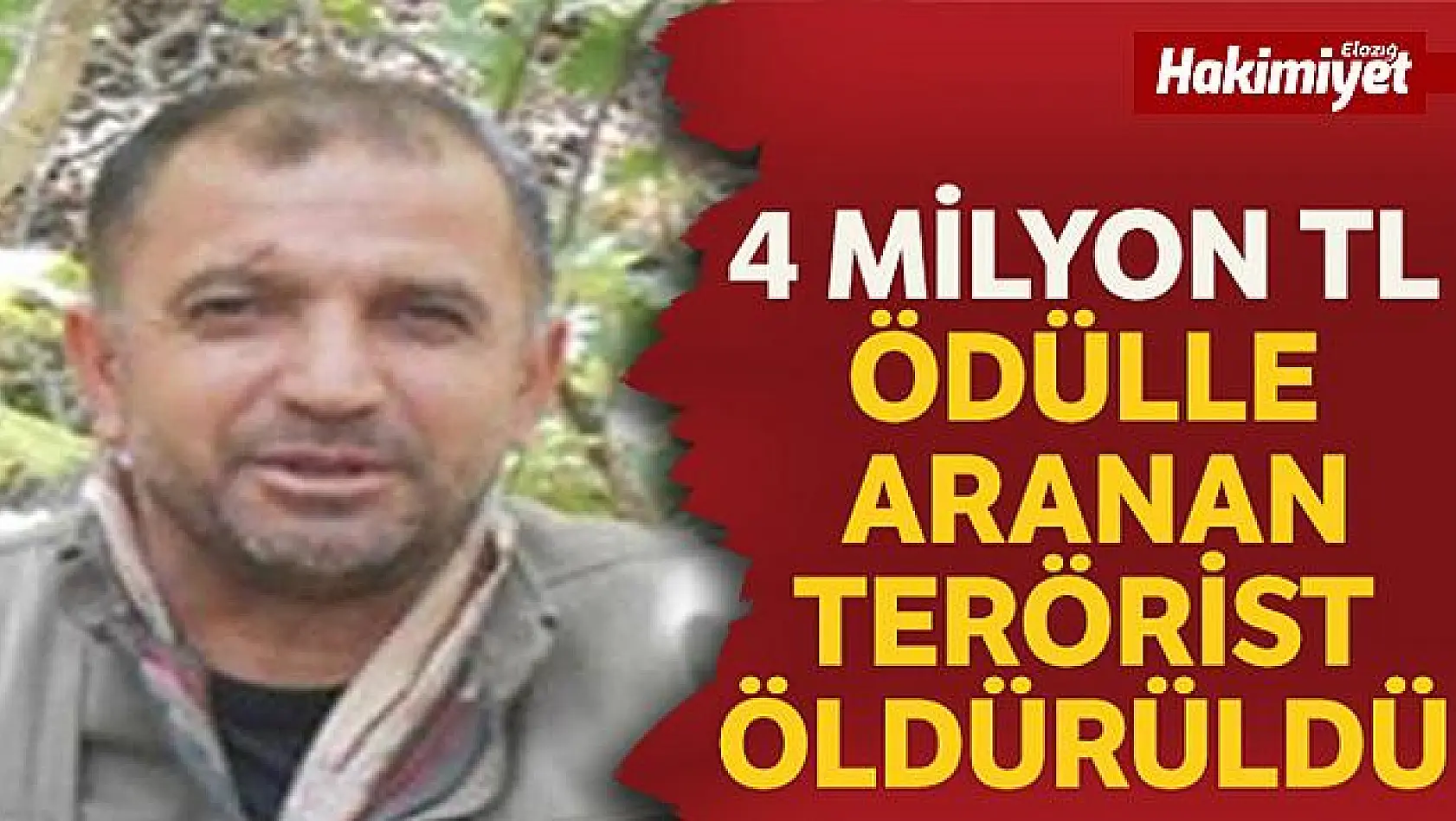 4 milyon TL ödülle aranan terörist Bitlis'te etkisiz hale getirildi