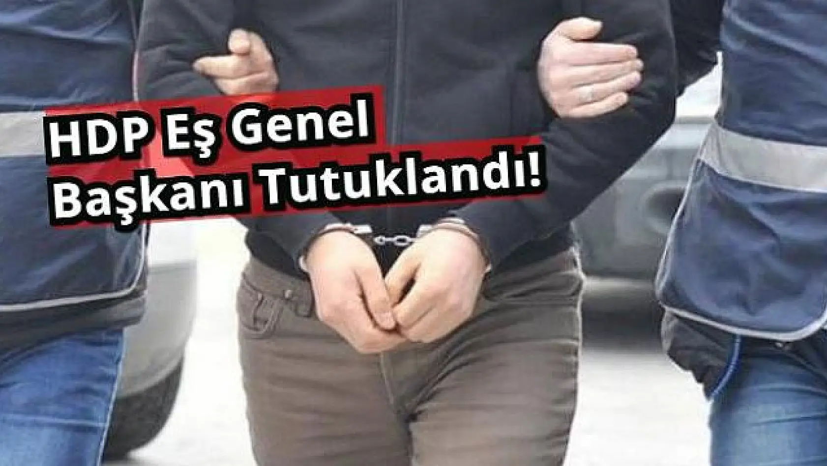HDP'nin Elazığ İl Eş Başkanı tutuklandı  