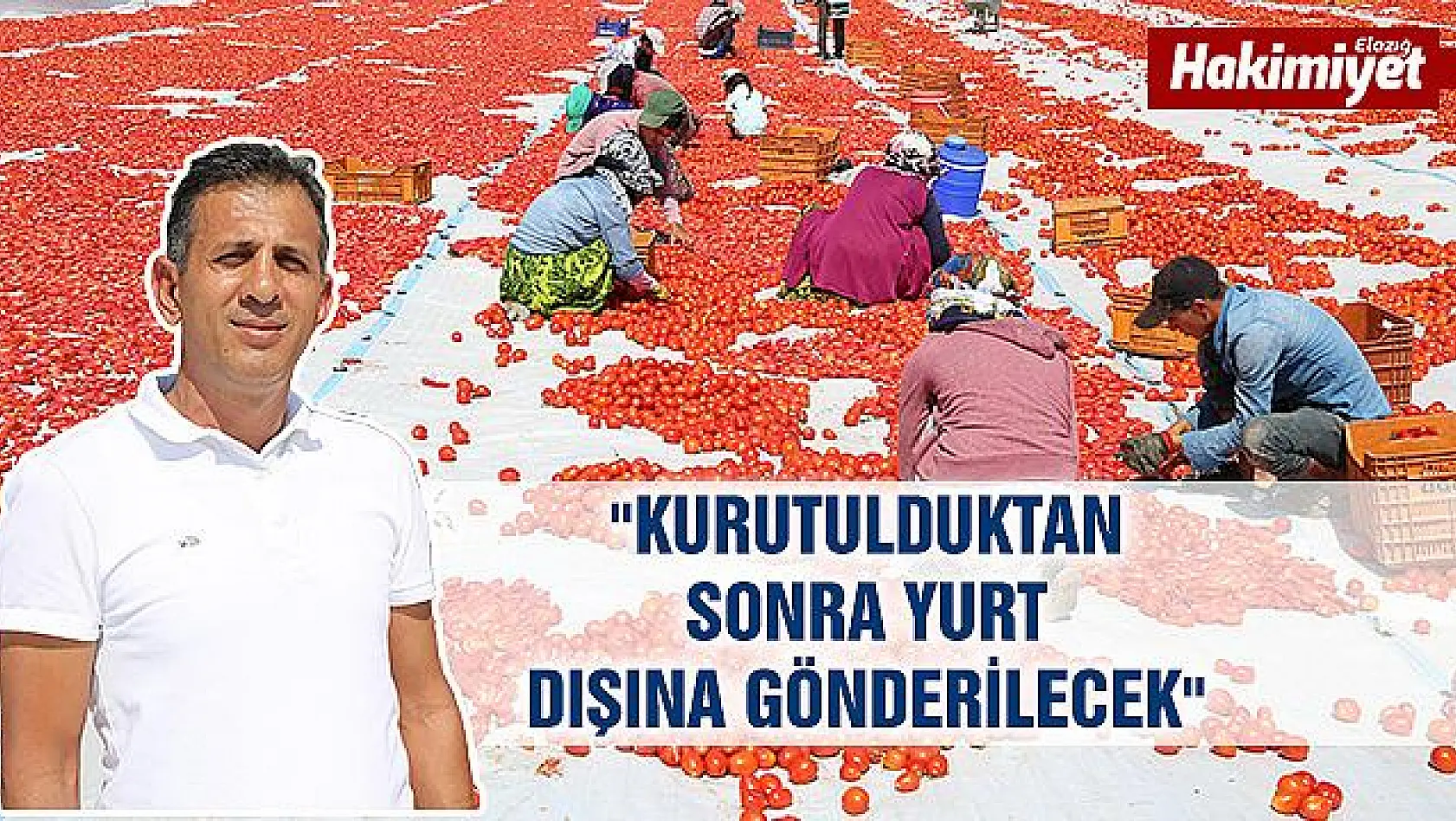 Tunceli'den Avrupa'ya kuru domates ihracatı