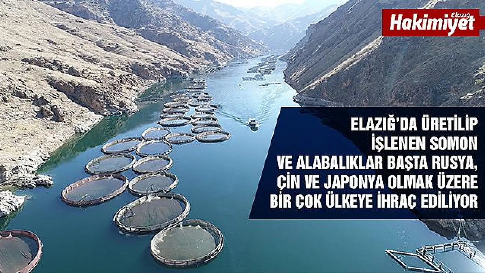 Türkiye'de en çok Elazığ'da üretilen alabalık 18 bin tona, somon bin tona yükseldi