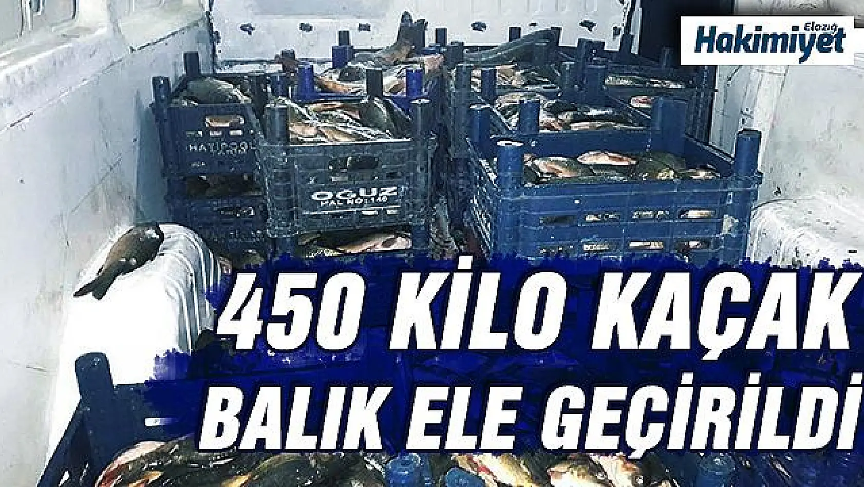 Kaçak balık avına 10 bin TL ceza kesildi