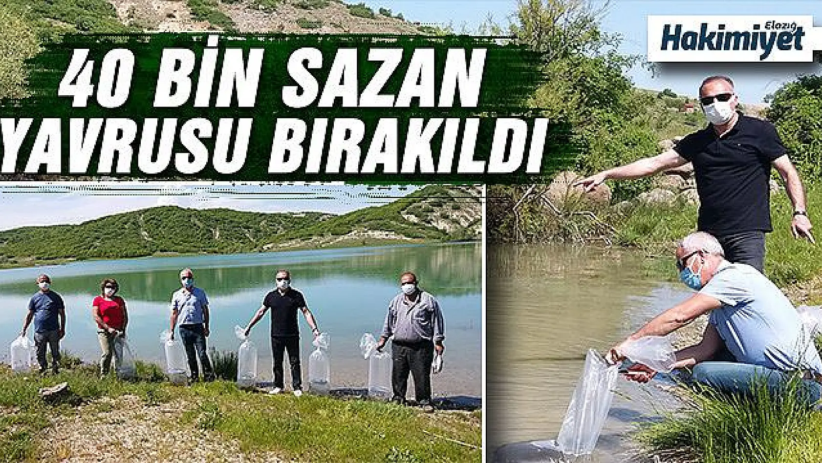 Tunceli'de bulunan Günboğazı göletine 40 bin adet sazan yavrusu bırakıldı.  
