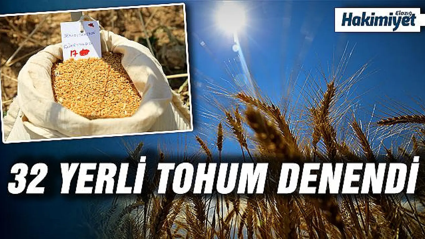 300 bin ton hububat üretilen Elazığ'da, 32 yerli tohum denendi 