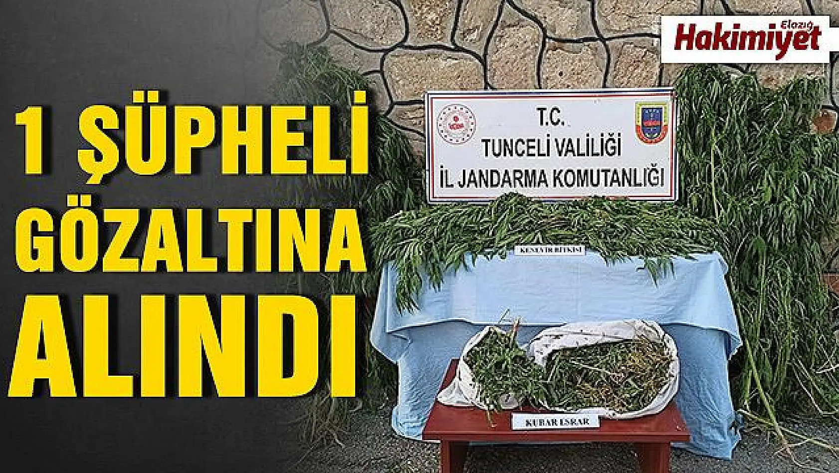 Tunceli'de uyuşturucu ile mücadele sürüyor