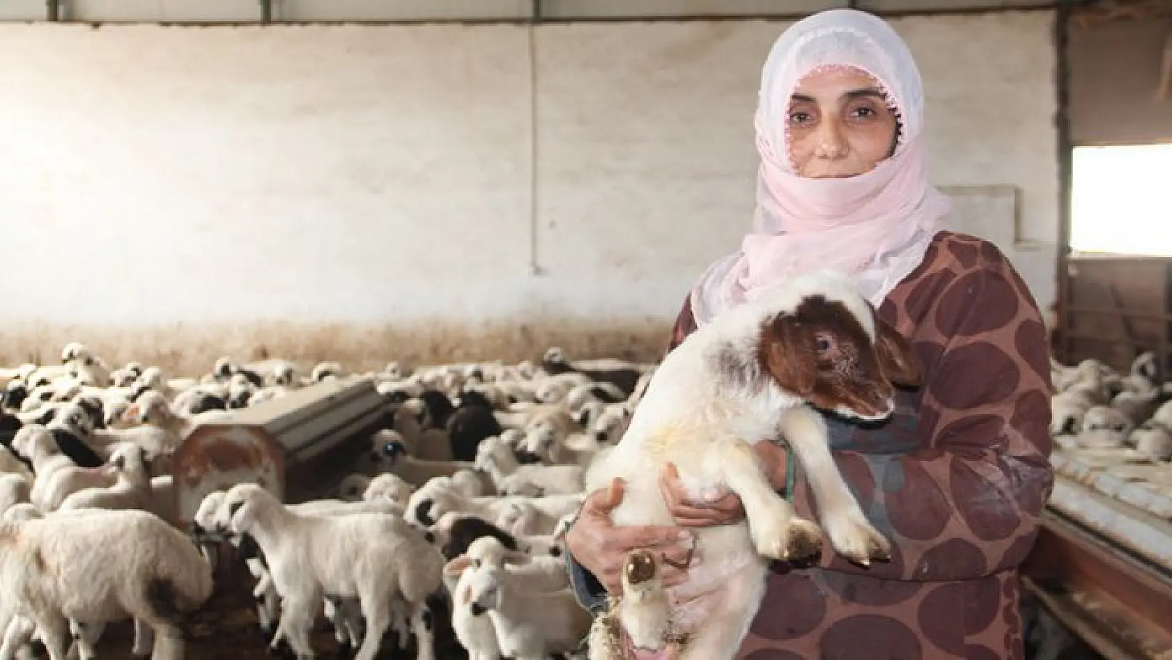 3 Çocuk Annesi Kadın Devletten Aldığı Destekle Çiftlik Kurdu