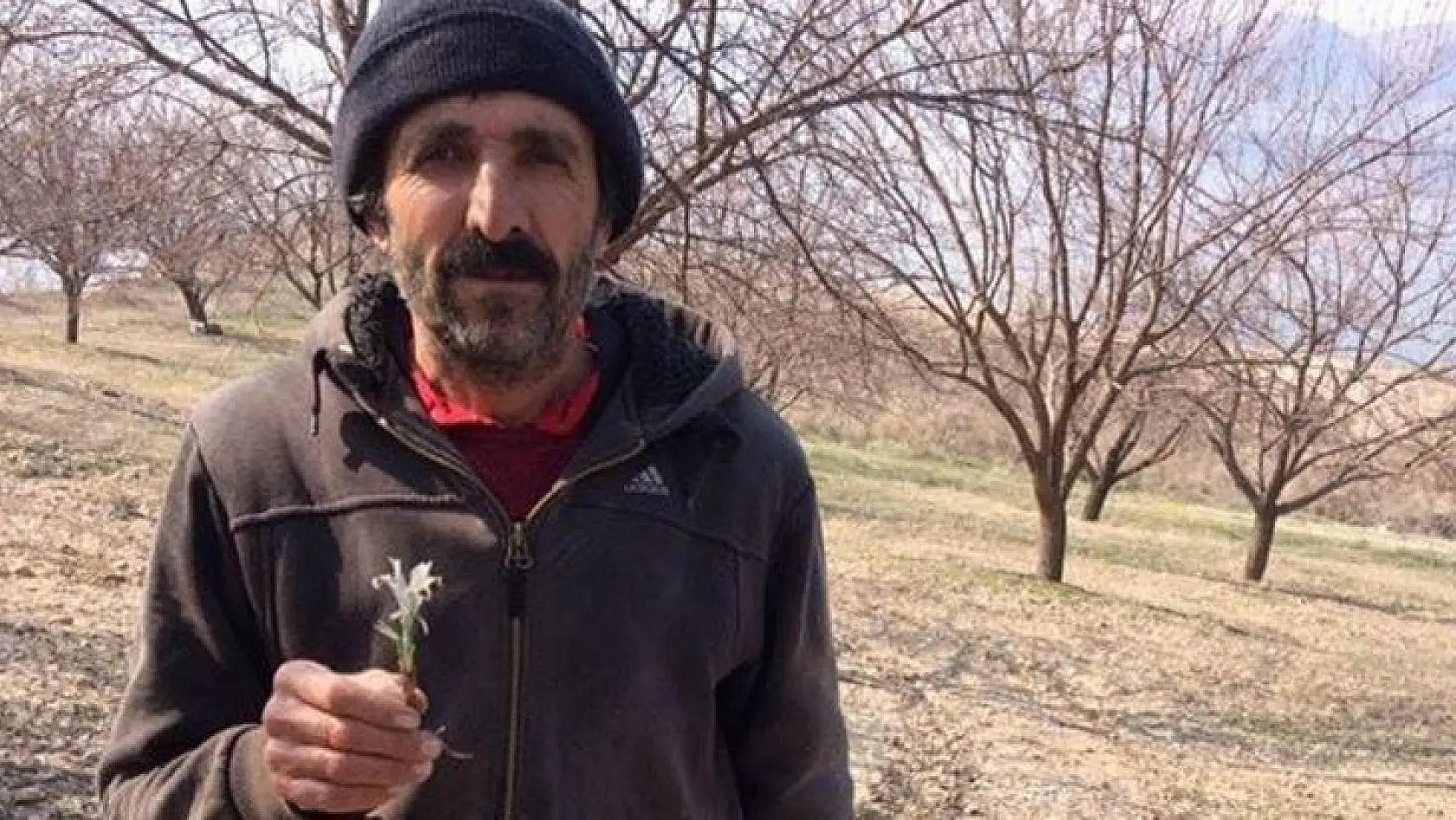 Baharın Müjdecisi Nevruz Çiçeği Şubat Ayında Açtı