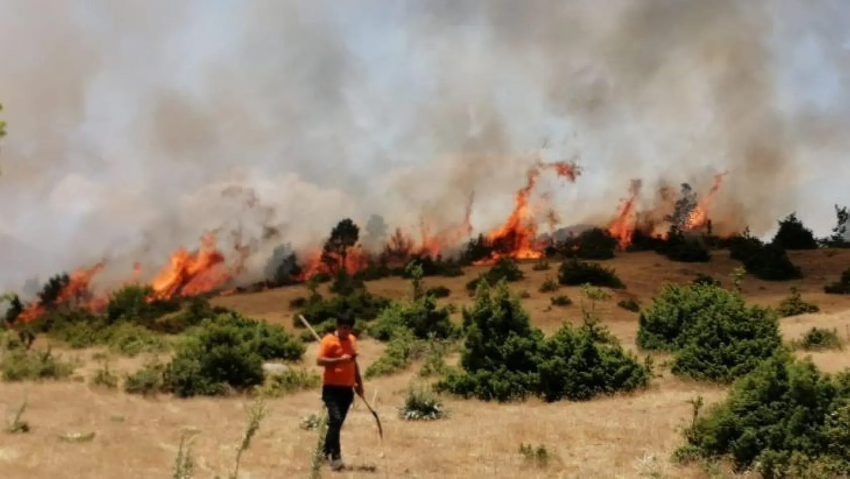 Bingöl'de  orman yangını büyümeden söndürüldü