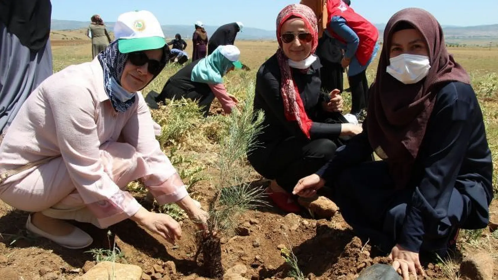 Bingöl'de kadınlar, 3 bin fidanı toprakla buluşturdu