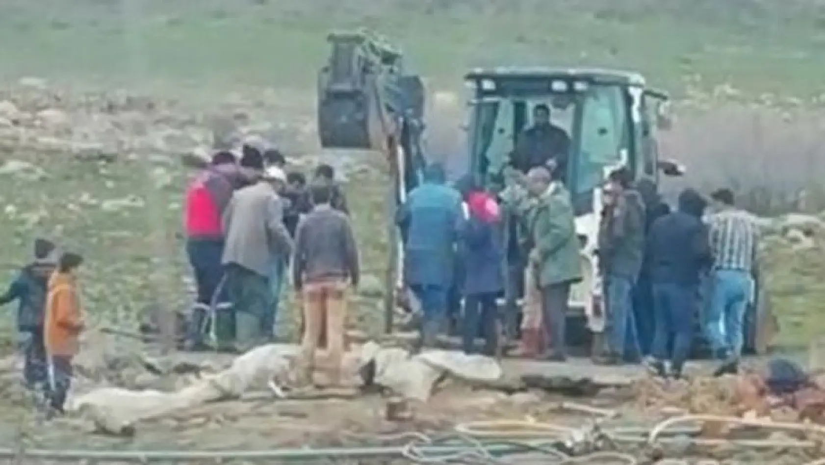 Bingöl'de kuyuya düşen ineği ekipler kurtardı