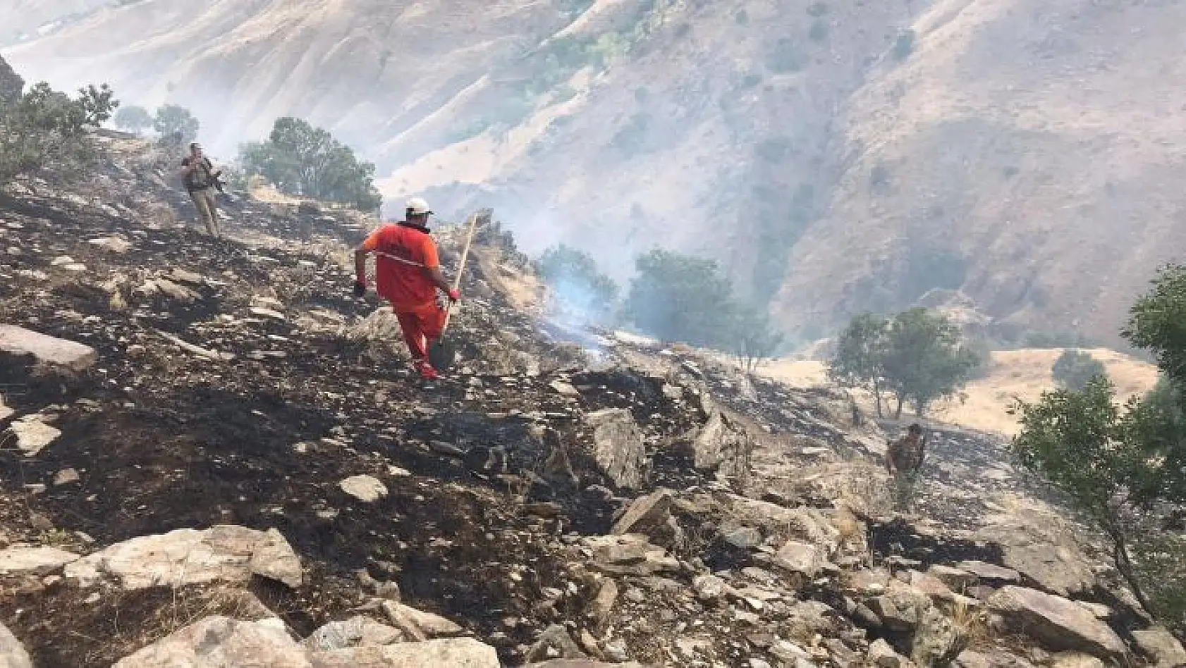 Bingöl'de ormanlık alandaki yangın büyümeden söndürüldü