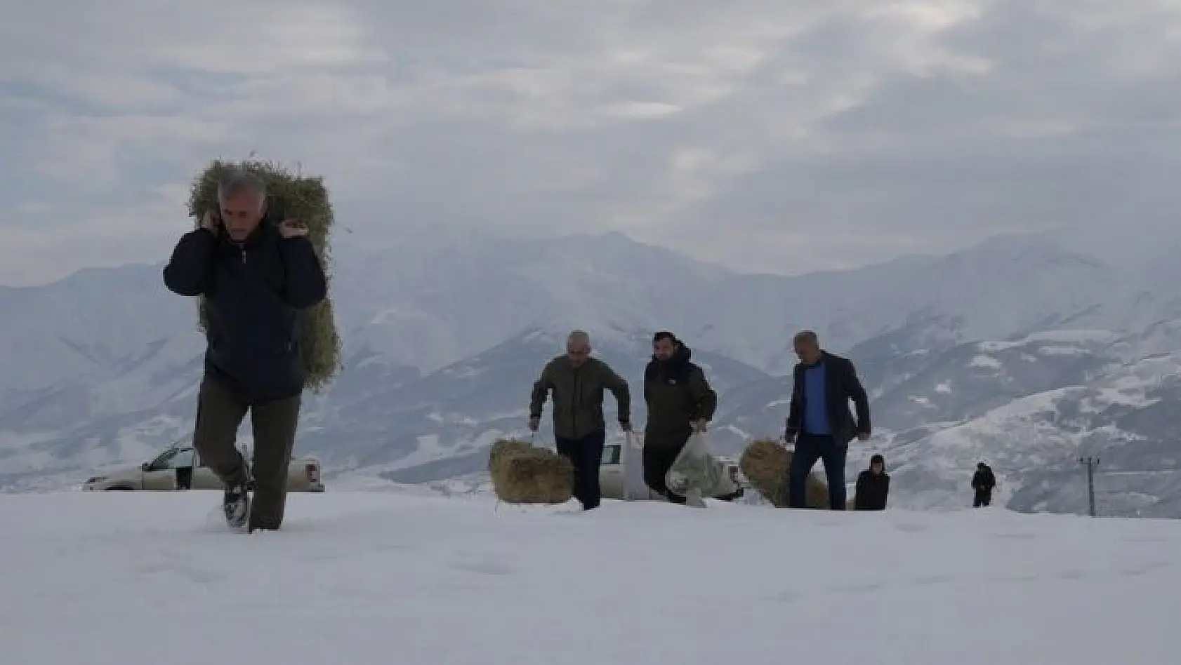 Bingöl'de yaban hayvanları için karla kaplı dağlara yem bırakıldı