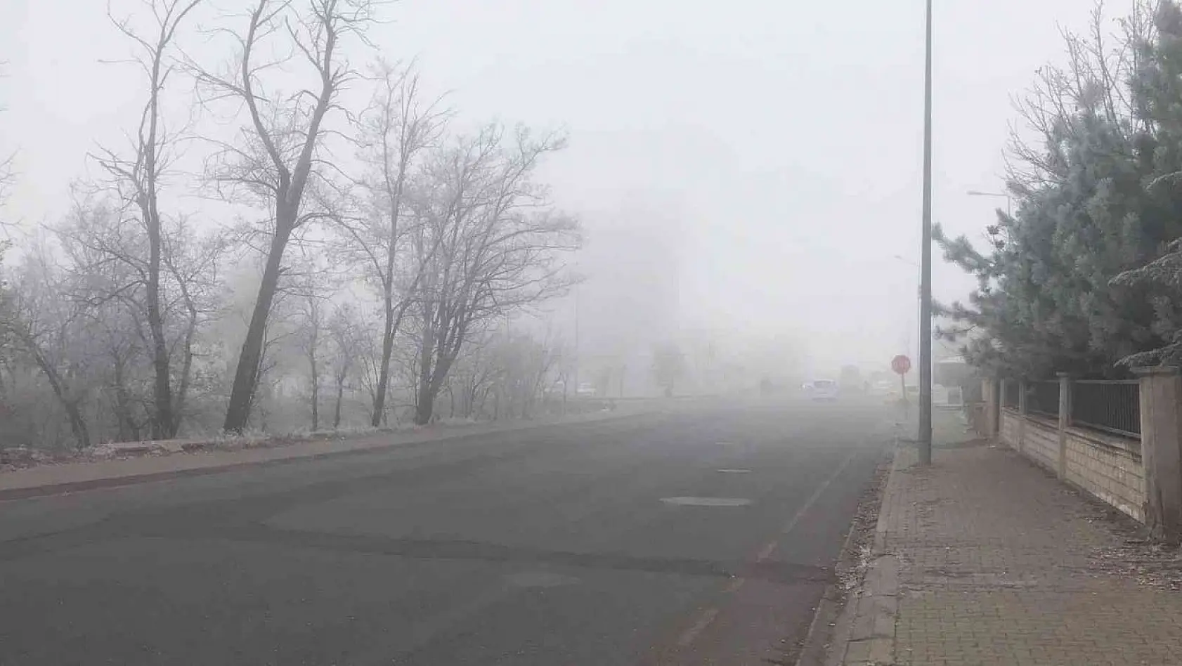Bingöl'de yoğun sis etkili oldu