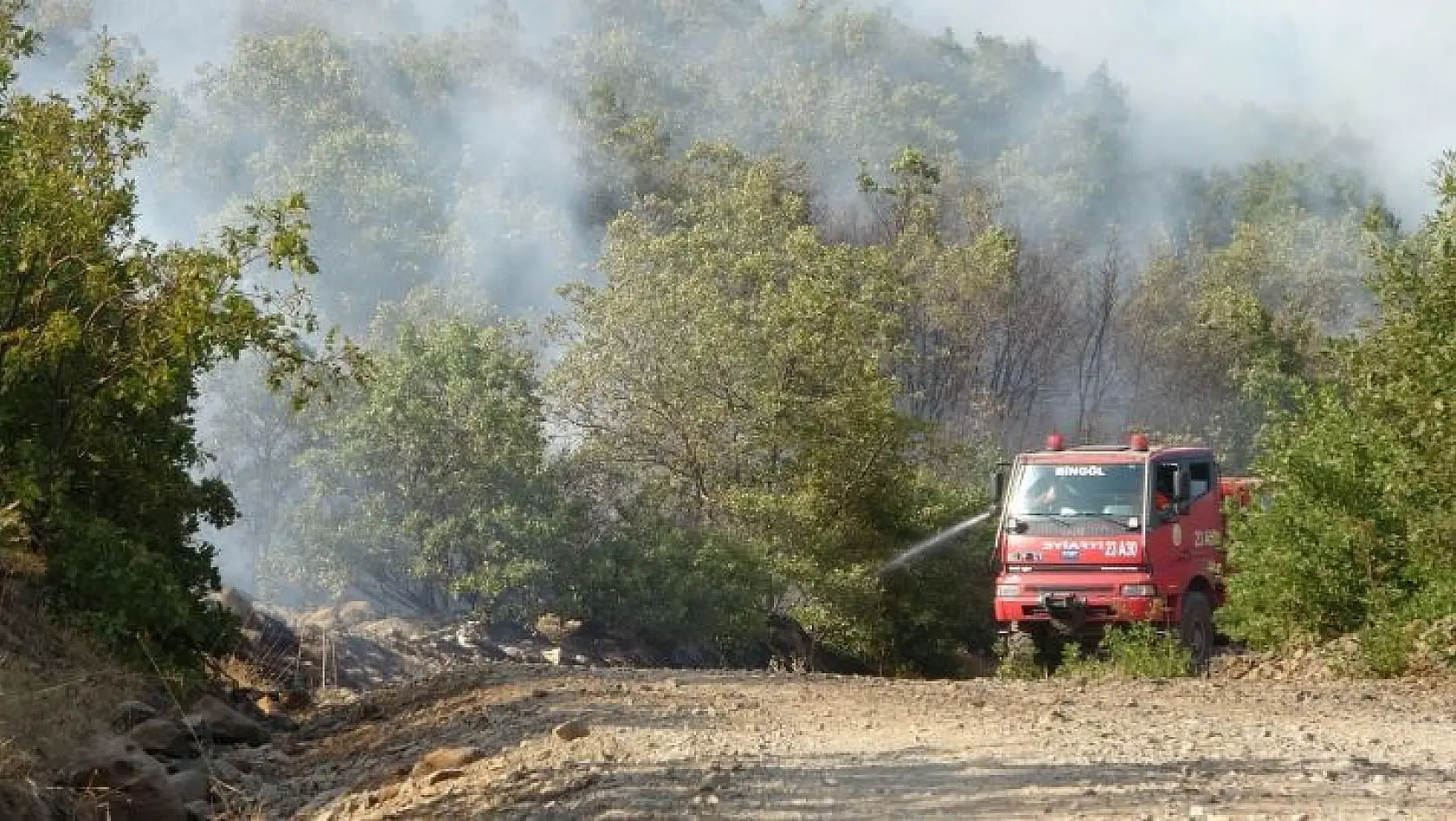 Bingöl'deki orman yangını kontrol altına alındı