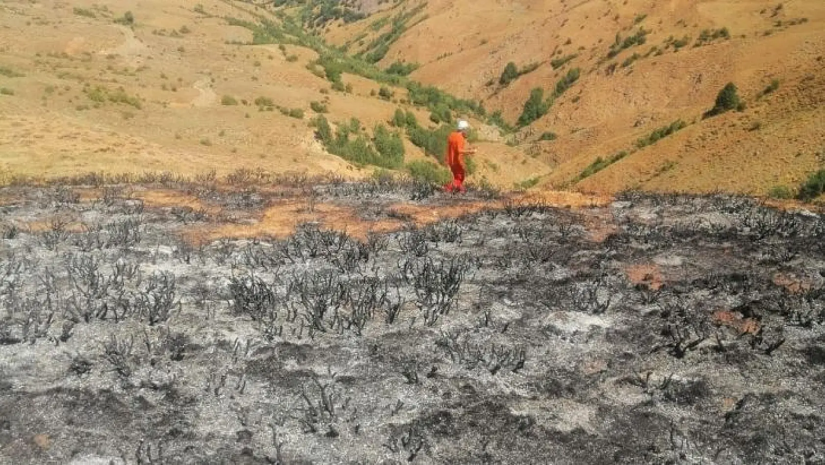 Bingöl'deki yangın ormanlık alana sıçramadan söndürüldü