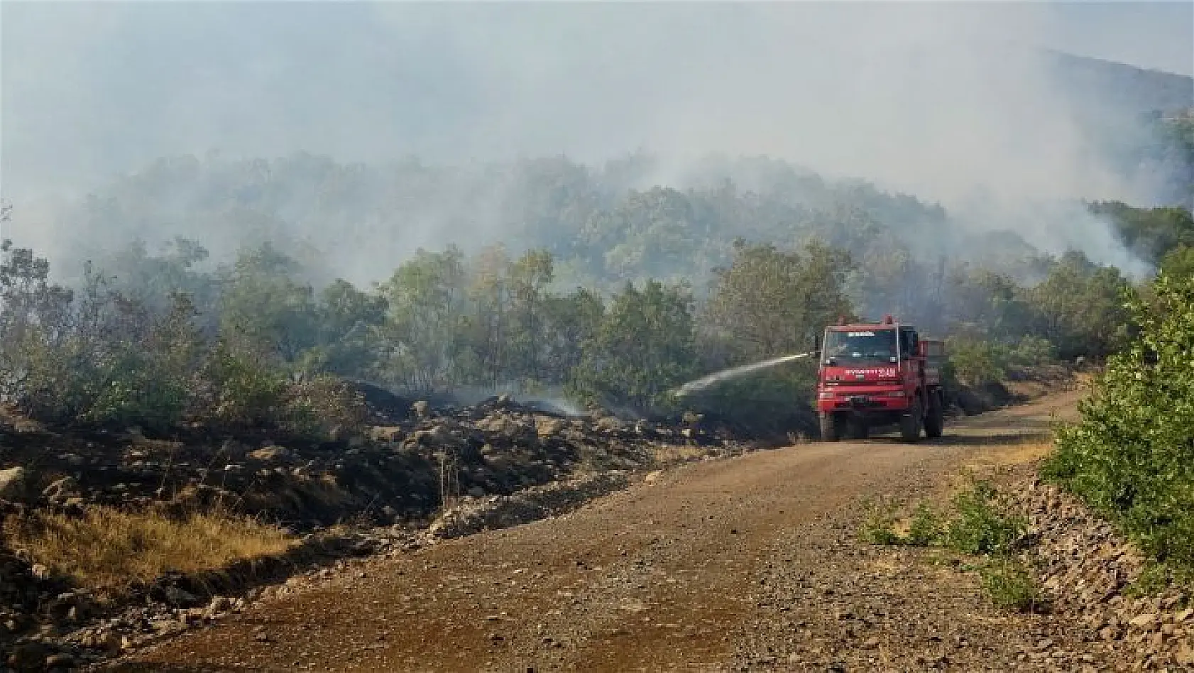 Bingöl'deki yangına havadan ve karadan müdahale sürüyor