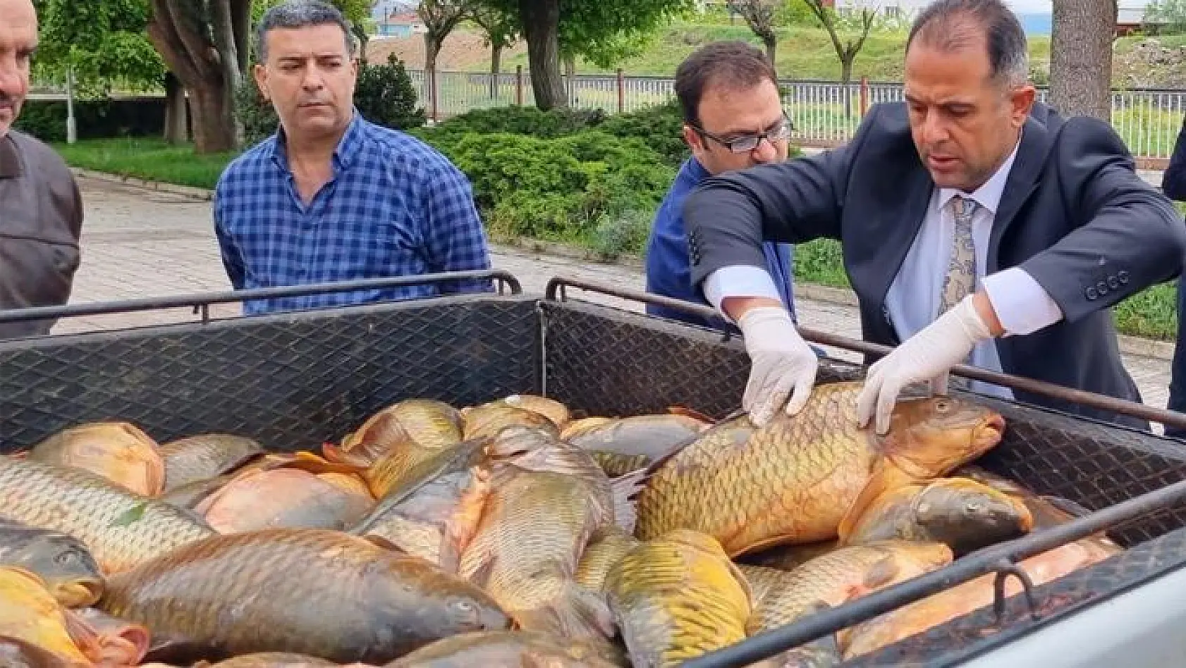 Elazığ'da 500 Kilo Kaçak Avlanmış Balık Ele Geçirildi