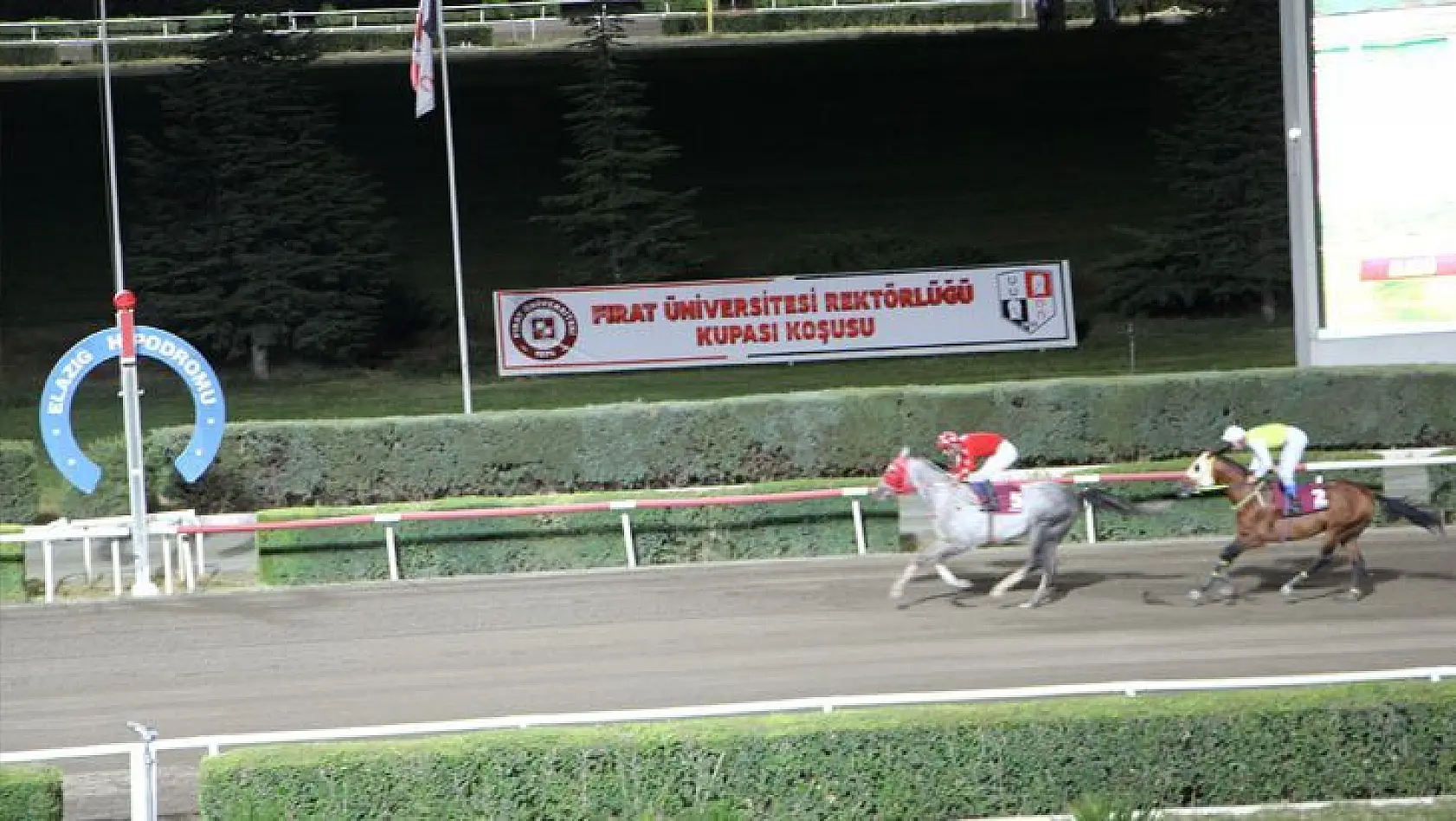 Elazığ'da at yarışları başlıyor