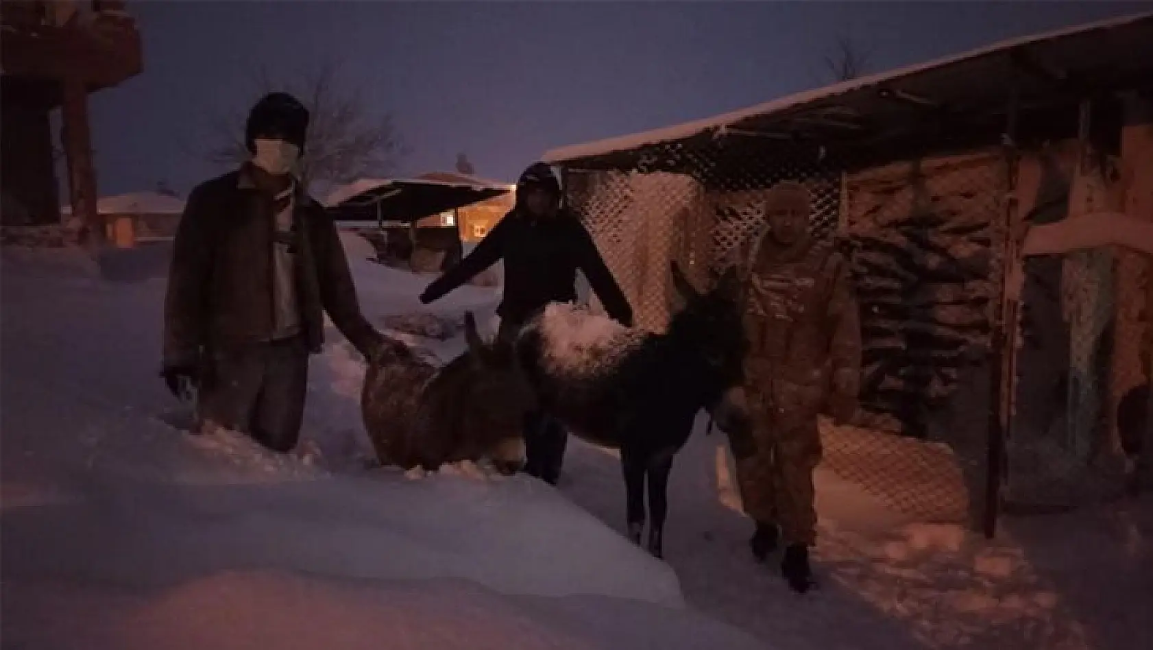 Elazığ'da donmak üzere olan hayvanlar kurtarıldı