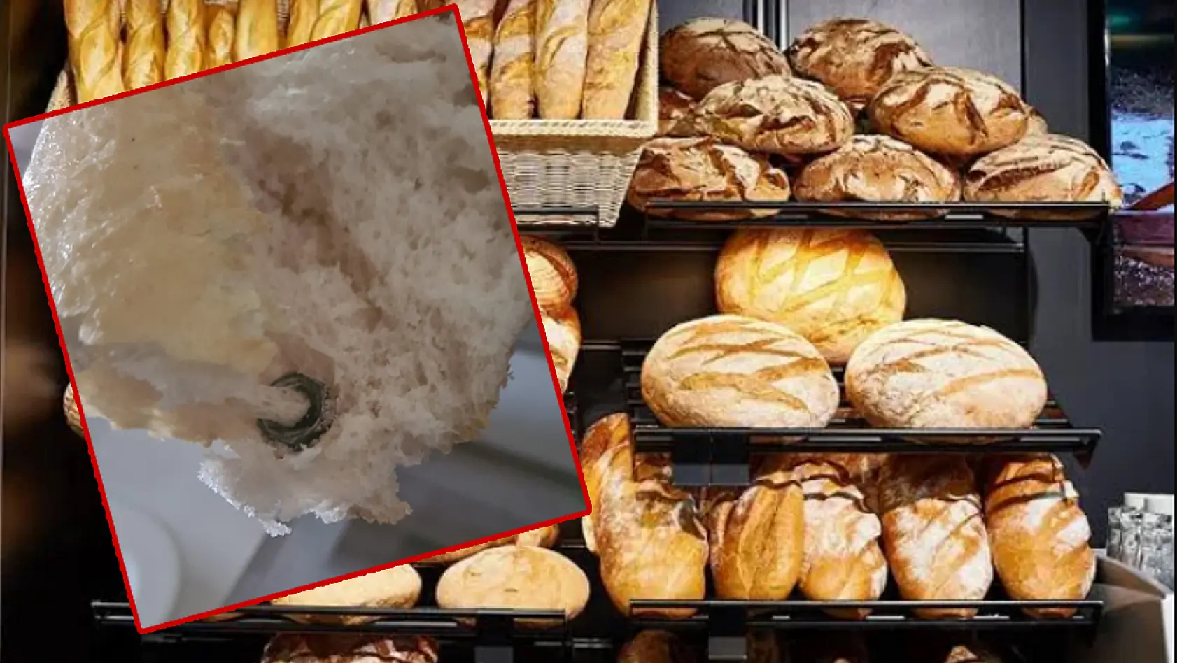 Elazığ'da Ekmek Alırken İki Defa Düşünün