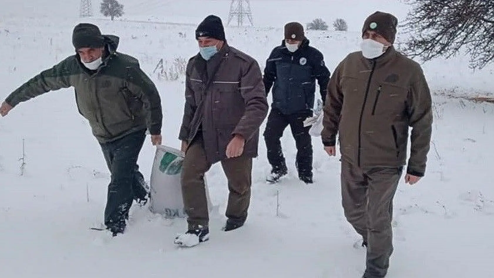 Elazığ'da karla kaplı bölgelerde yaban hayatına yem desteği