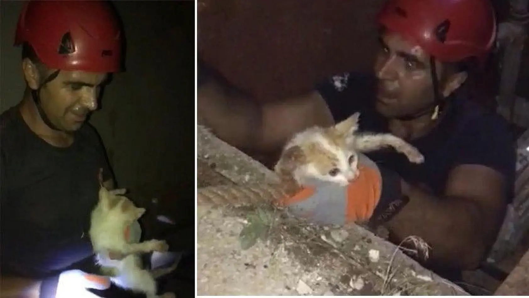 Elazığ'da kuyuya düşen kediyi itfaiye ekipleri kurtardı