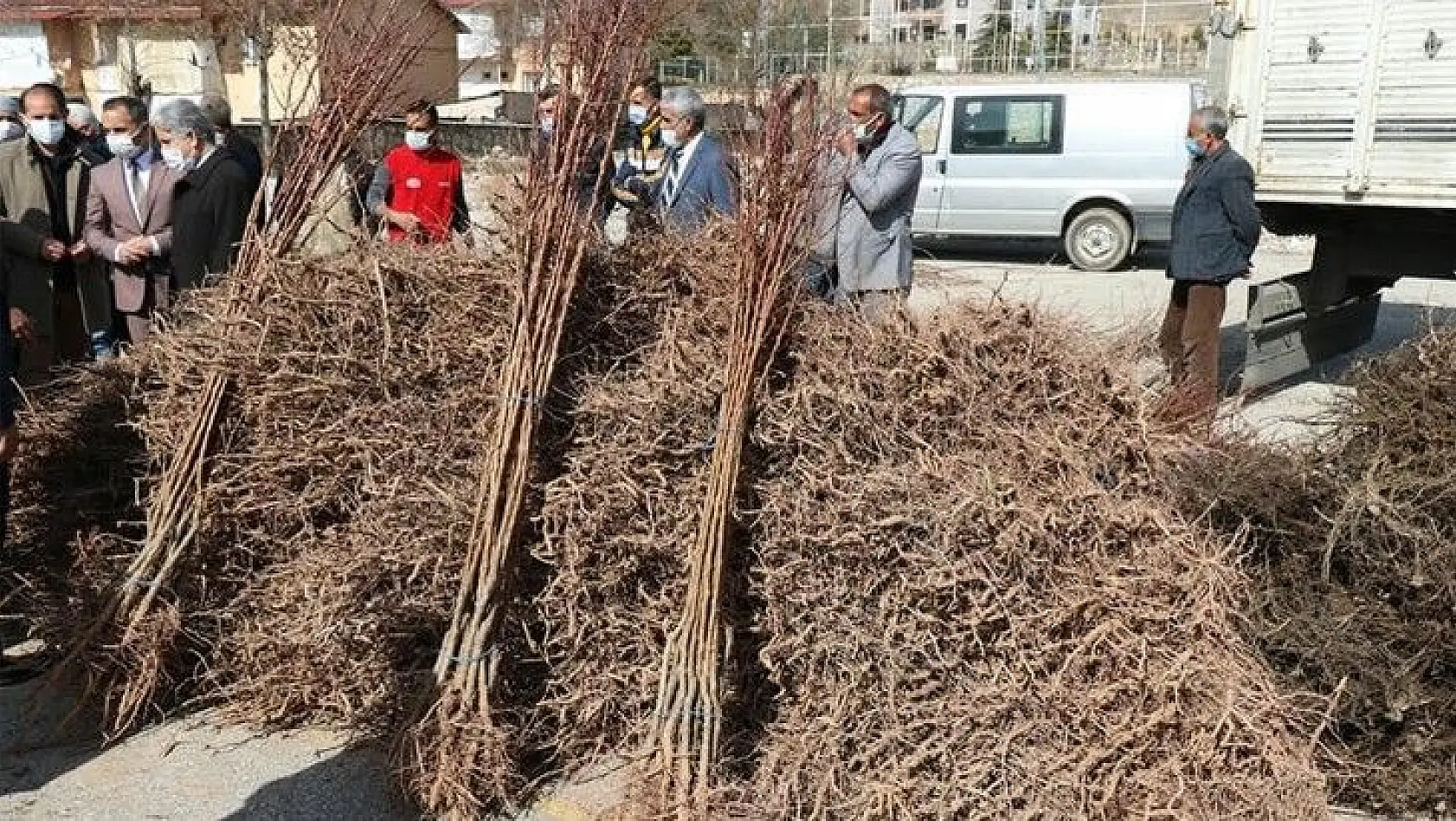 Elazığ'da 'Meyveciliği Geliştirme' projesi, 13 bin fidan dağıtıldı