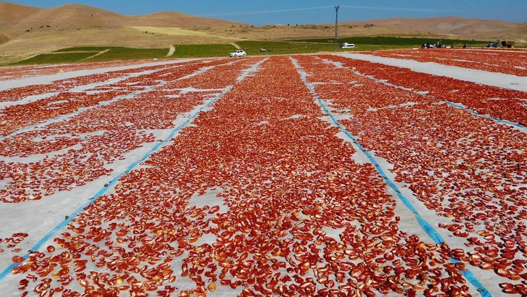 Elazığ'da üretilip kurutulan domatesler, dünya sofralarını süslüyor