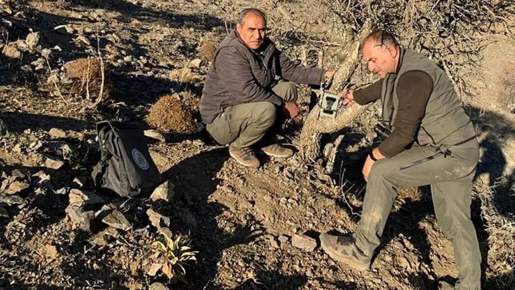 Elazığ'da Yaban Hayatı Ve Kaçak Avcılar Fotokapanlarla Tespit Ediliyor