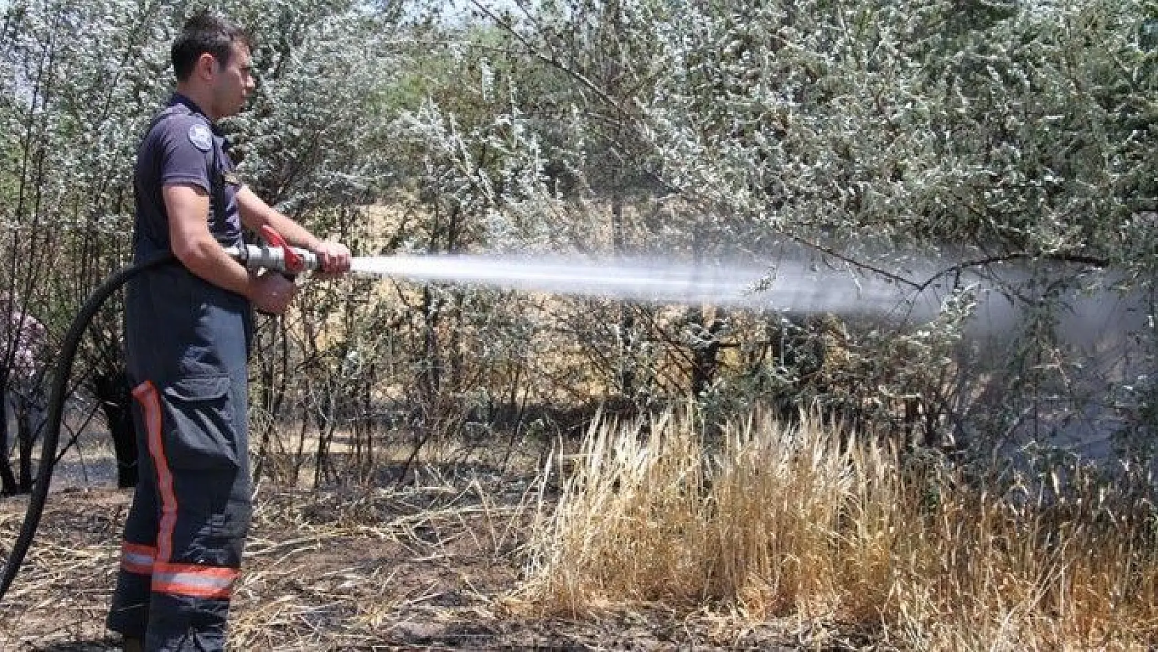 Elazığ'da yangın: 12 dönüm ekili alan kül oldu