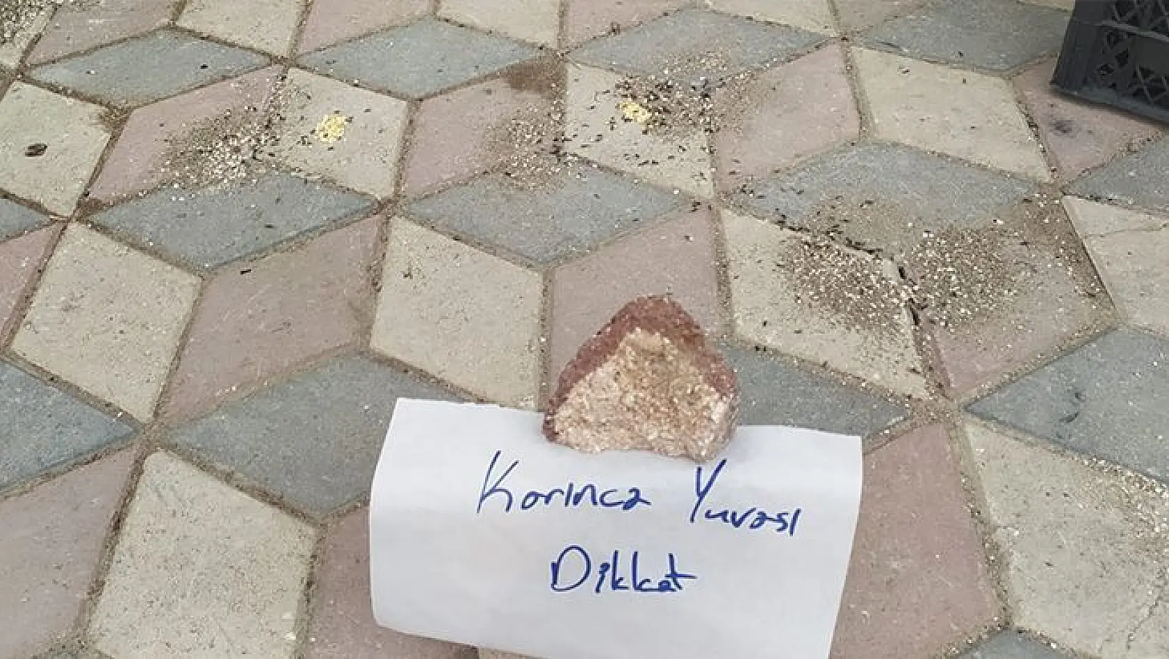 Elazığ'da yürekleri ısıtan görüntü: Karıncalar Ezilmesin Diye Kaldırıma Not Bıraktı