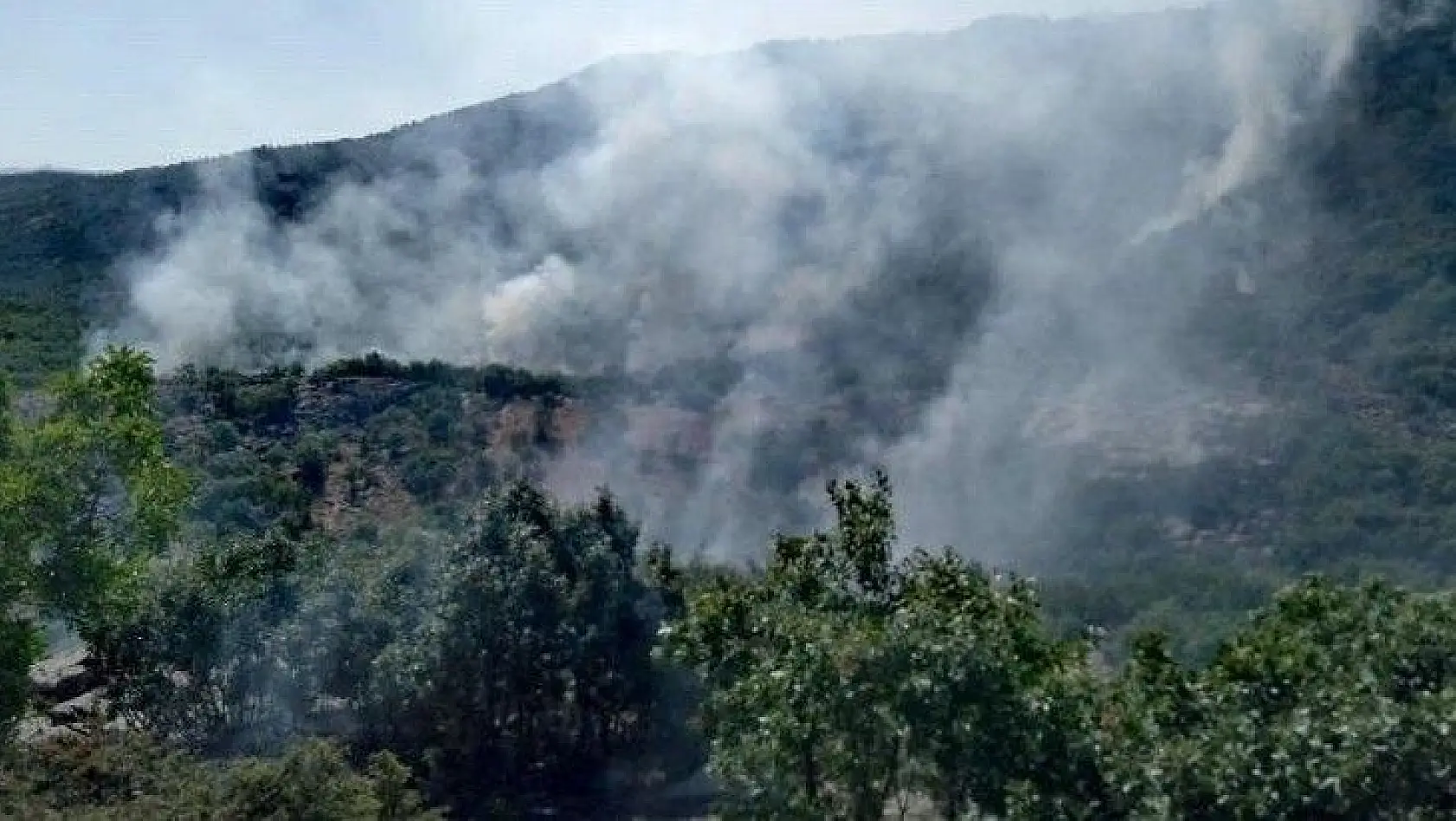Elazığ-Diyarbakır arasında orman yangını söndürme çalışmaları sürüyor