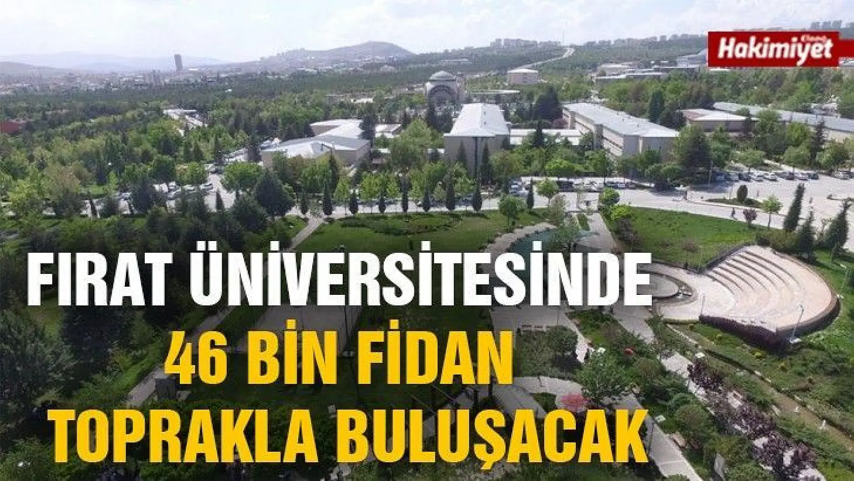 Fırat Üniversitesinde 46 bin fidan toprakla buluşacak