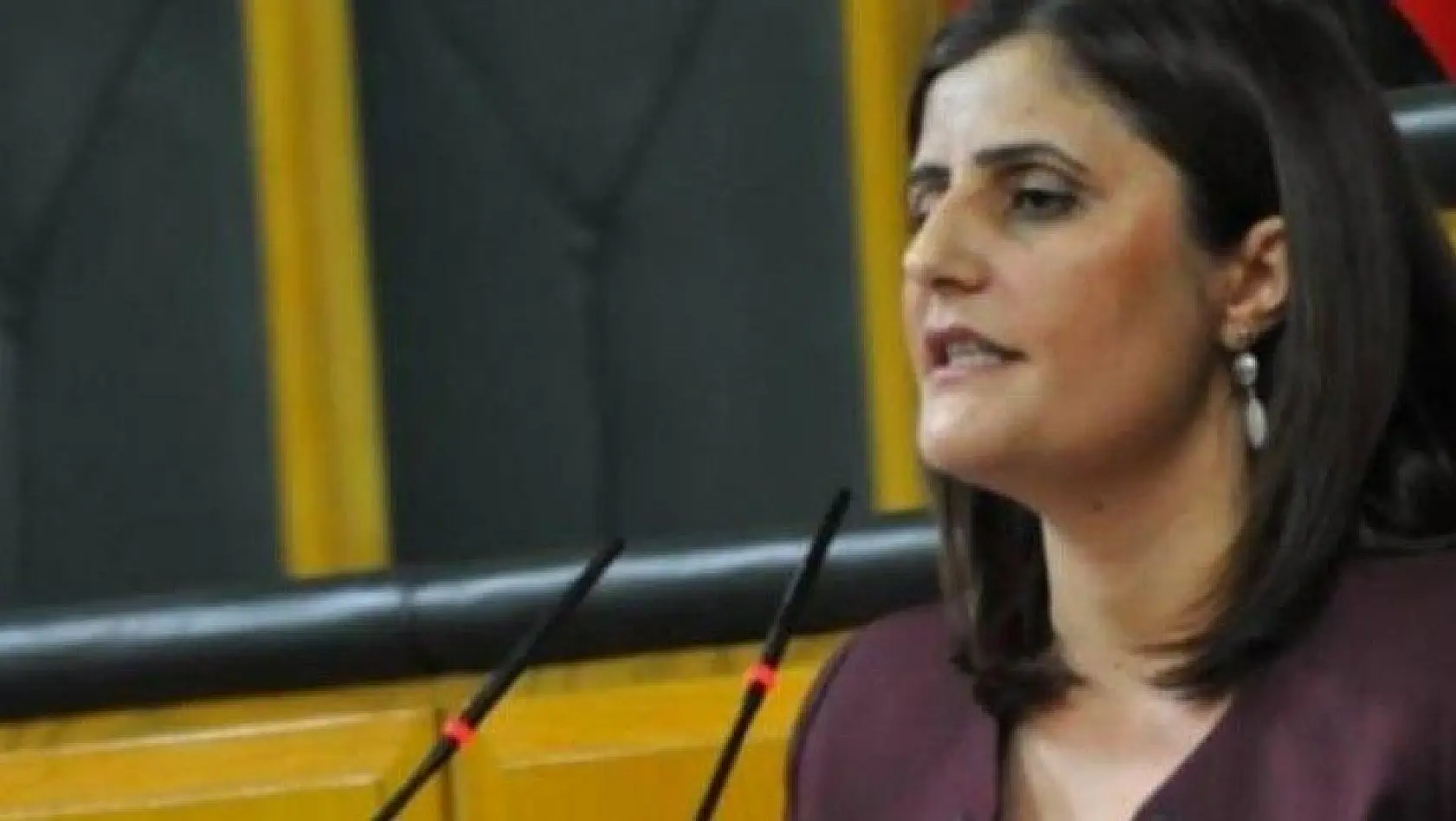 Gara'ya giden HDP'li Milletvekili Taşdemir hakkında soruşturma
