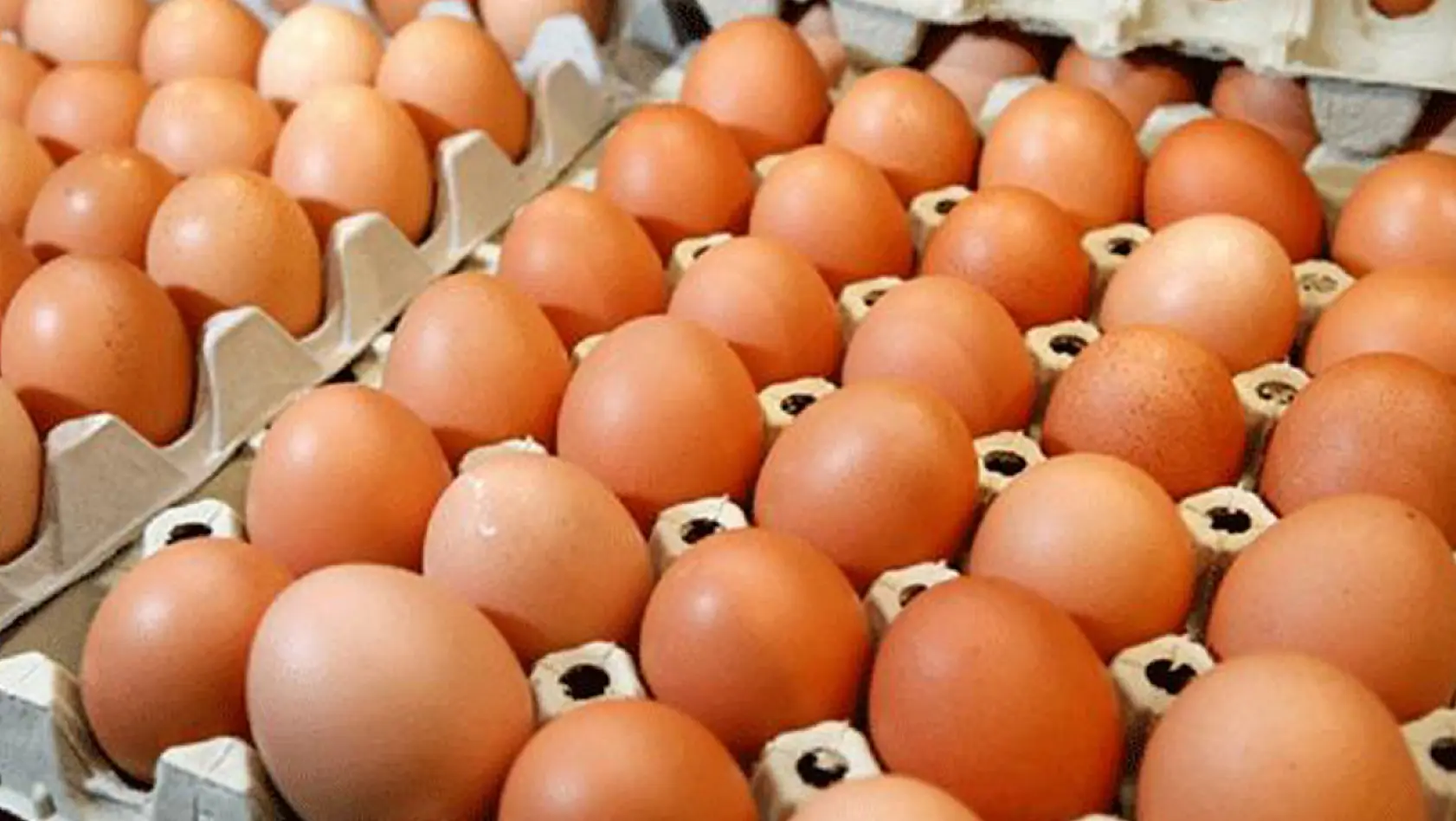 Her Gün Yumurta Yiyenlere Kötü Haber!