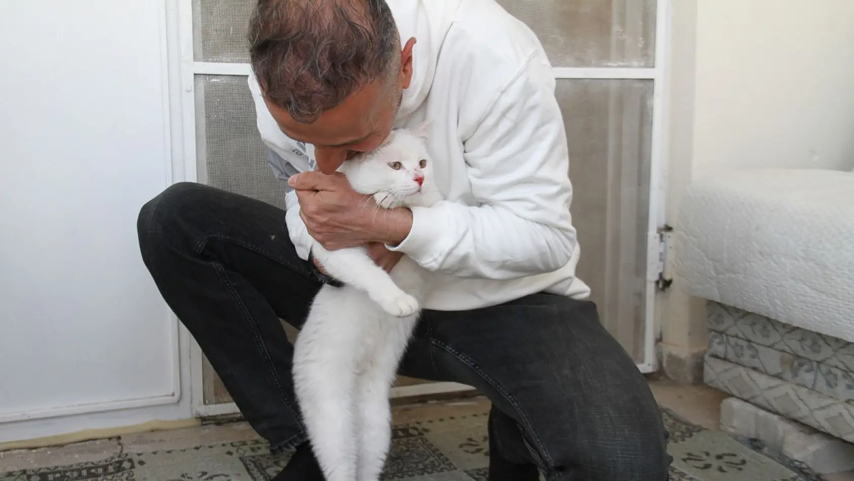 Malatya'da enkaz altında kalan kedi, takılan çip sayesinde sahibine ulaştırıldı