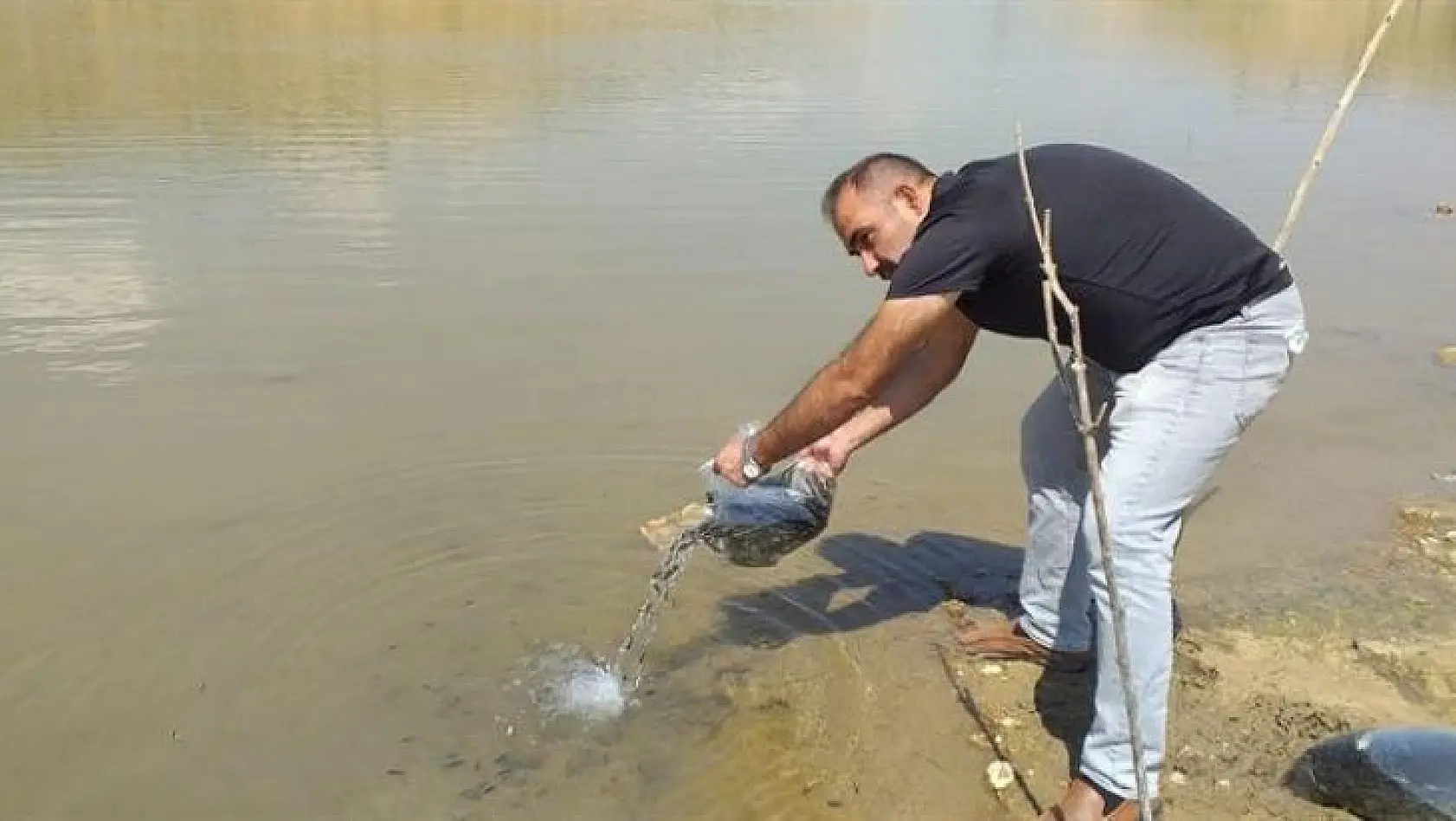 Elazığ'dan giden 120 bin yavru balık Malatya'daki göletlere bırakıldı