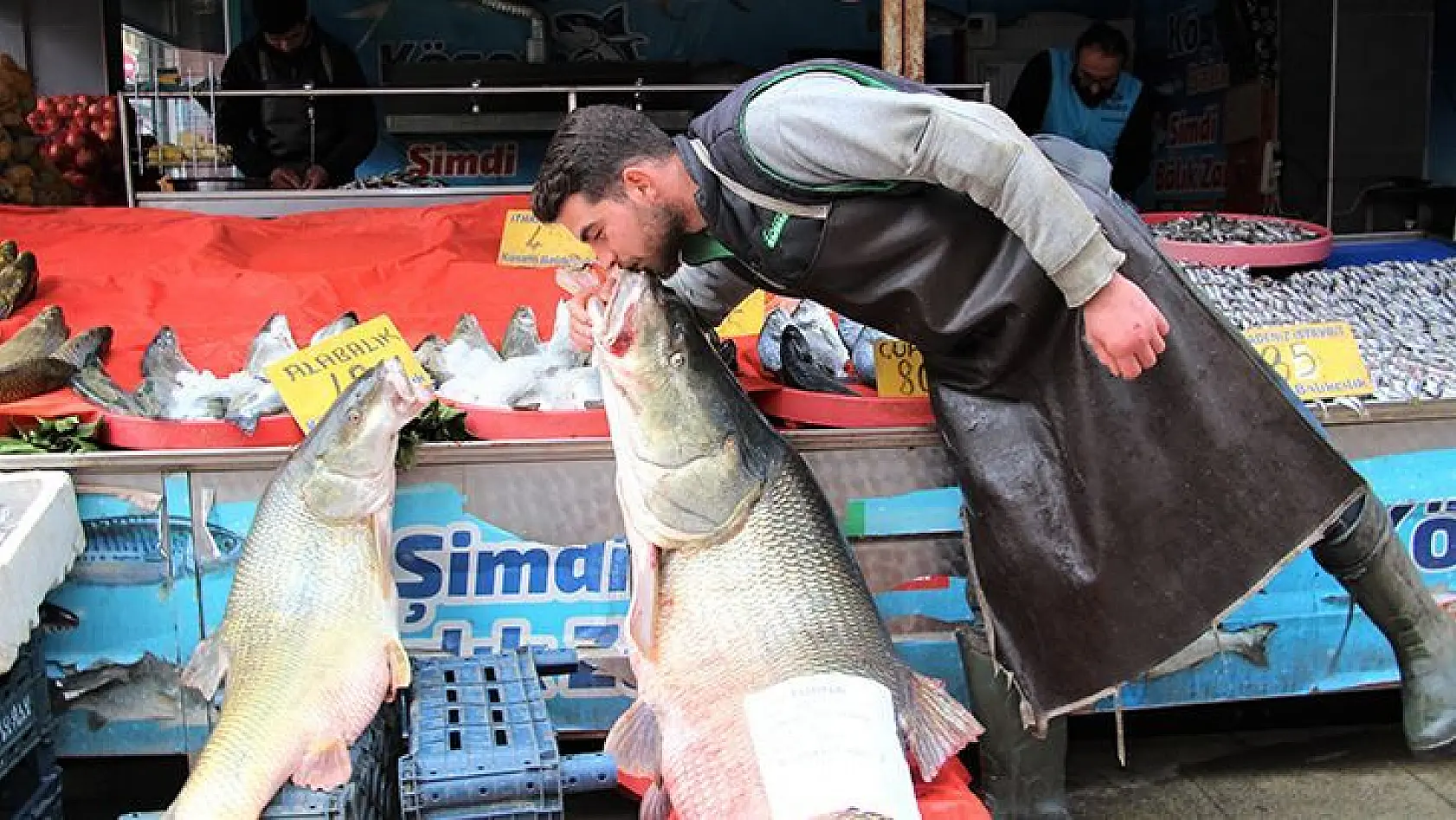 Sezonun Son Dev Turna Balığı Yakalandı: Tam 103 Kilogram