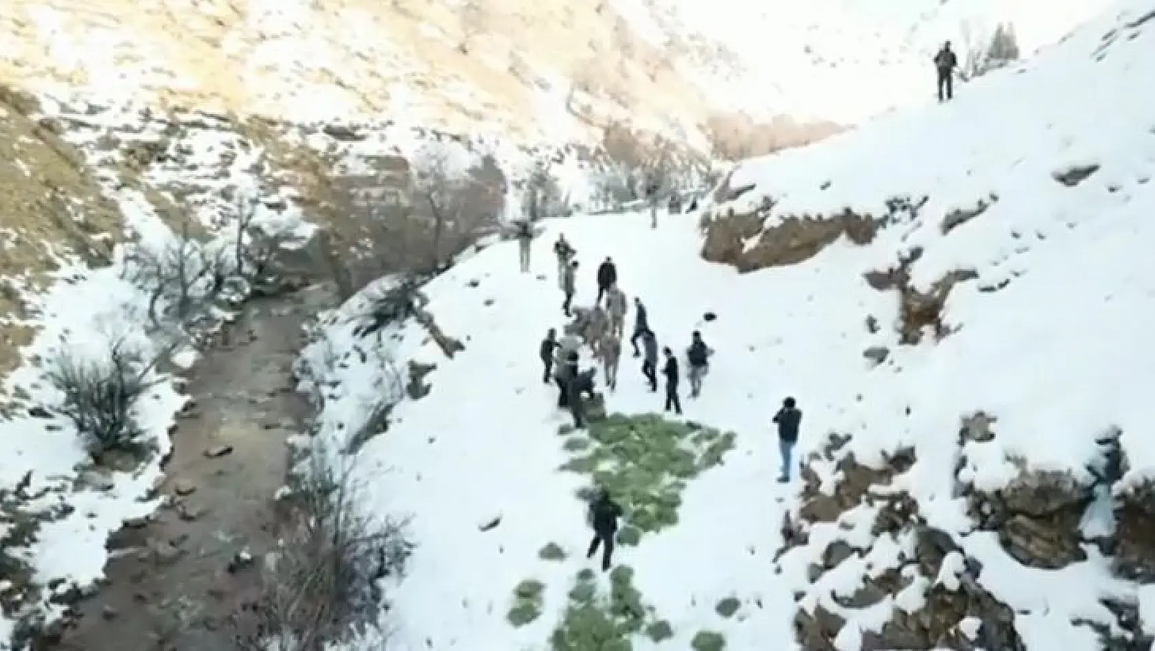 Tunceli'de doğaya yem bırakıldı, dağ keçileri akın etti