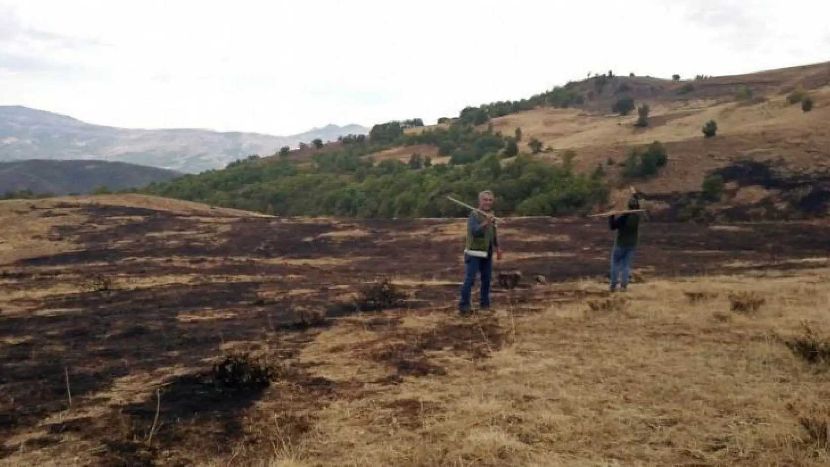 Tunceli'de örtü yangını söndürüldü