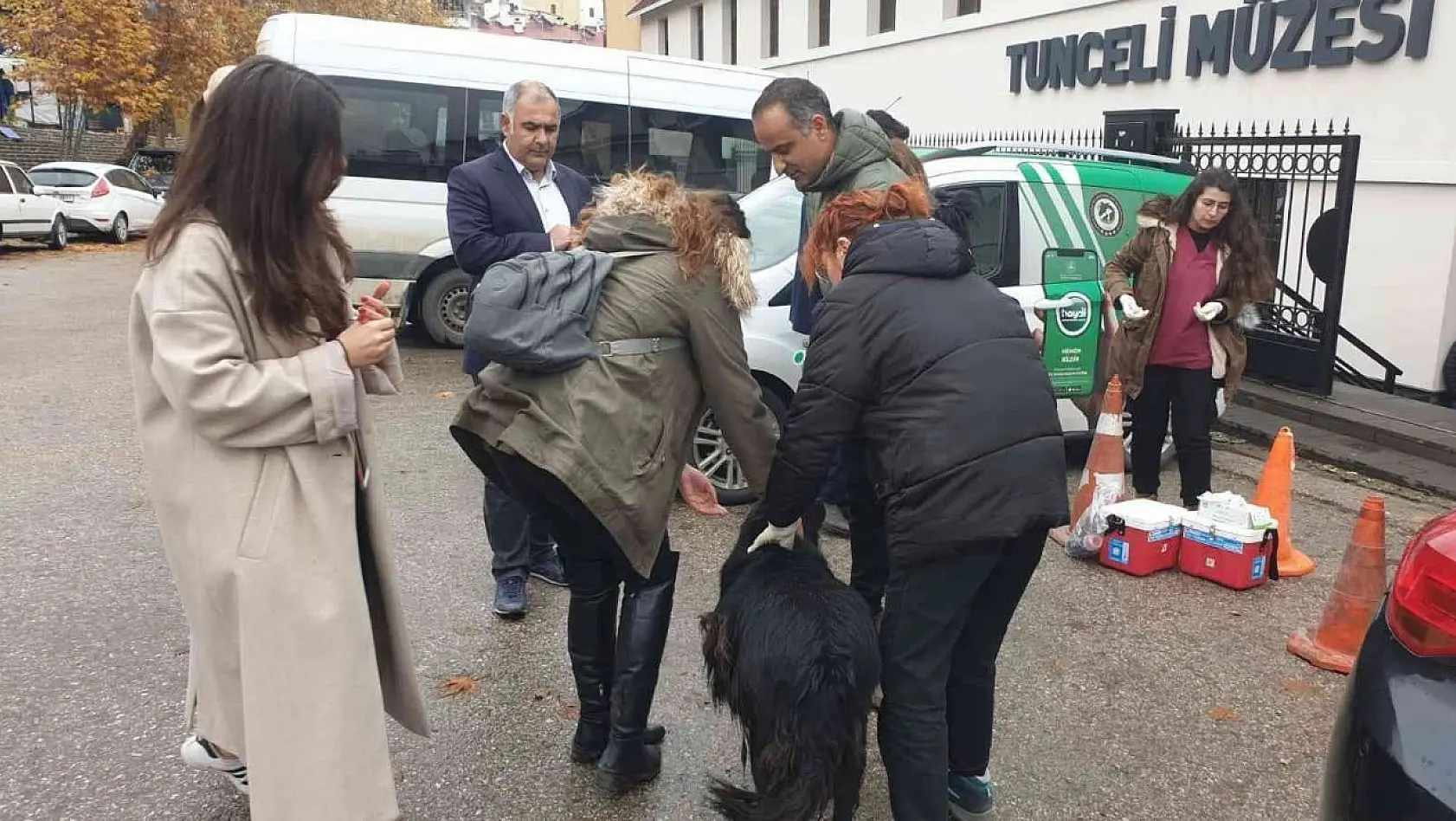 Tunceli'de sokak hayvanlarını aşılama kampanyası başlatıldı