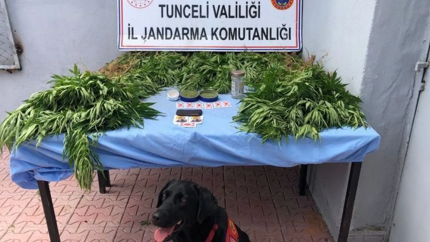 Tunceli'de uyuşturucu operasyonunda 1 gözaltı