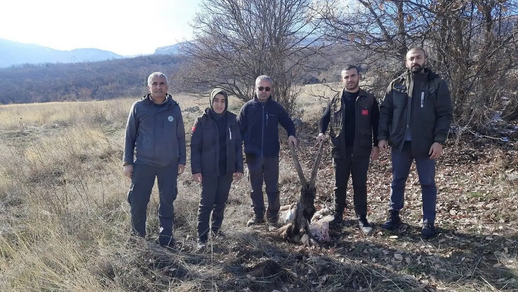 Tunceli'de yaban keçisi öldüren 4 kişiye 264 bin 576 lira ceza