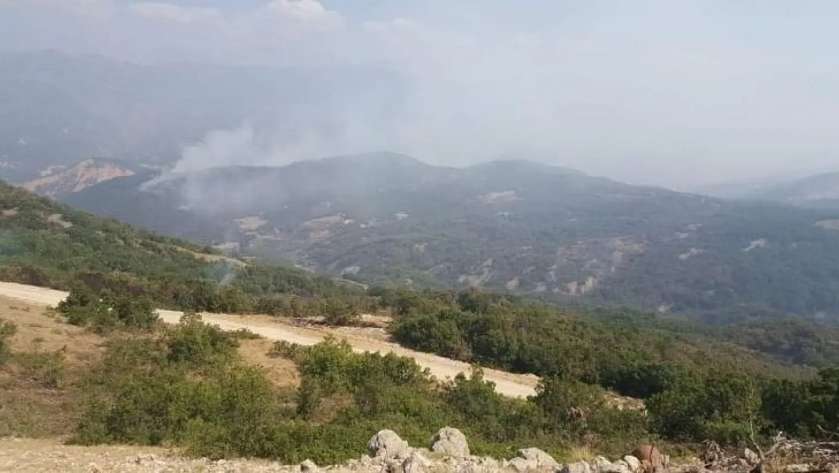 Tunceli'deki orman yangınında soğutma çalışmaları sürüyor