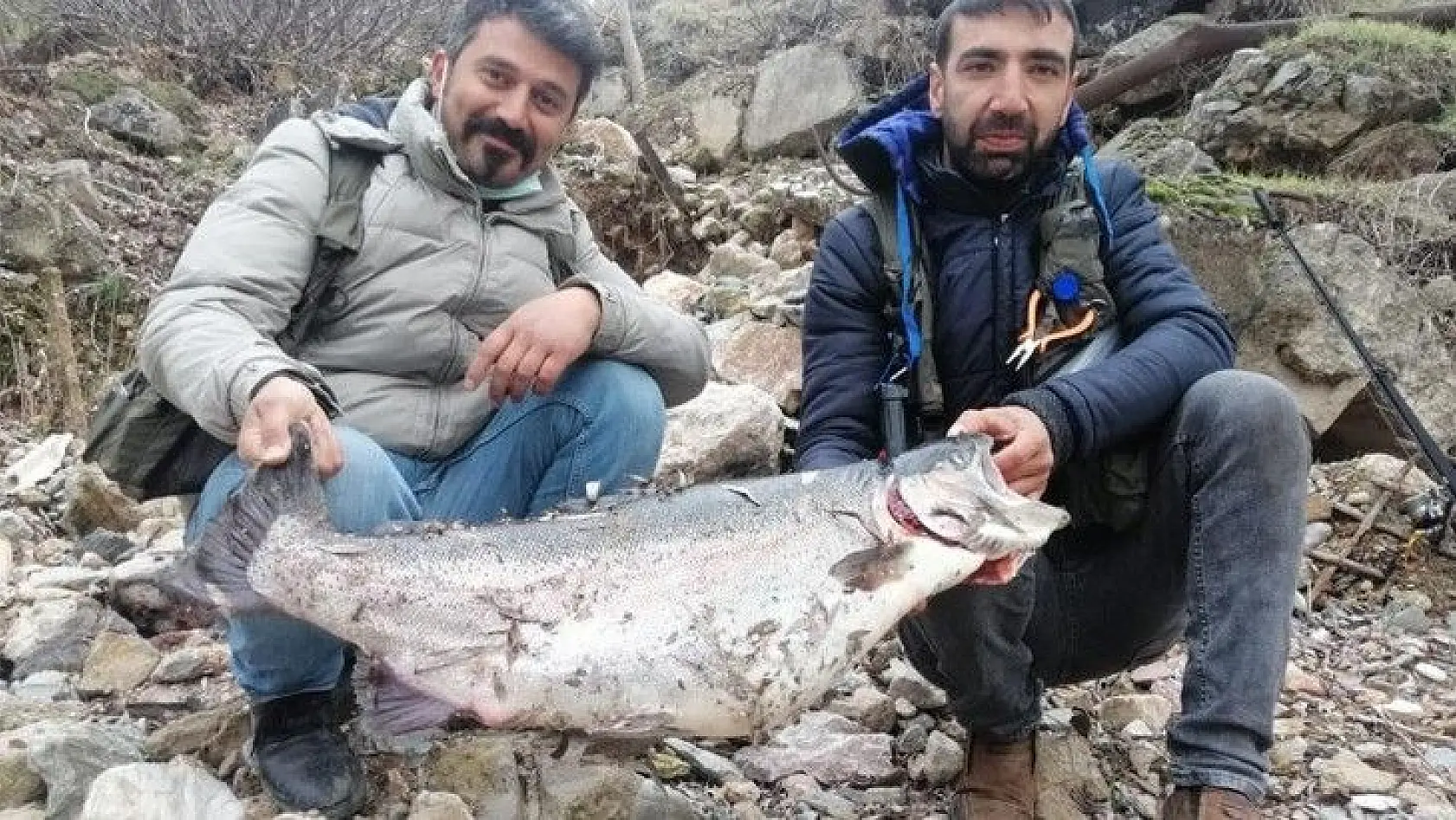 Türkiye ve Avrupa'nın en büyük alabalığı Elazığ'da olta ile yakalandı, tam 115 santim