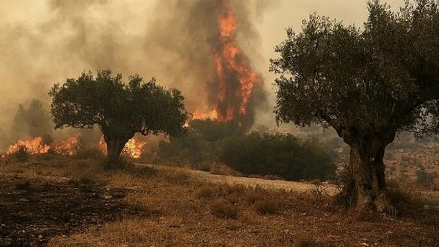 Türkiye, Yunanistan'a yangın söndürme uçağı ve helikopter yolluyor